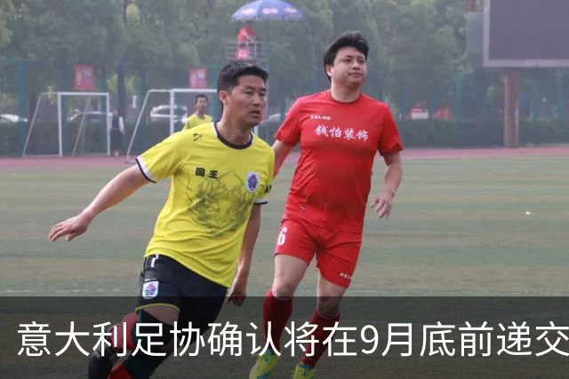 意大利足协确认将在9月底前递交欧洲杯申办材料